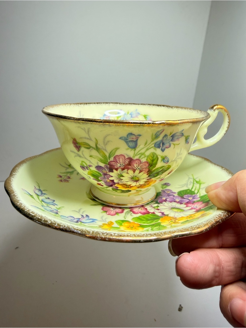 Vintage Foley Fine Bone China teacup and saucer set hand-painted wildflower